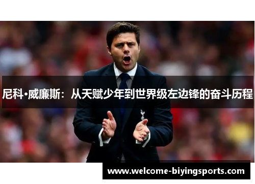 尼科·威廉斯：从天赋少年到世界级左边锋的奋斗历程