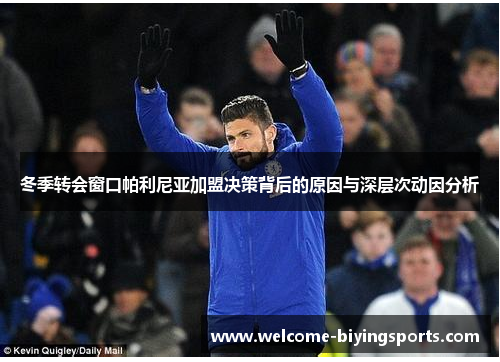 冬季转会窗口帕利尼亚加盟决策背后的原因与深层次动因分析
