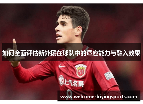 如何全面评估新外援在球队中的适应能力与融入效果