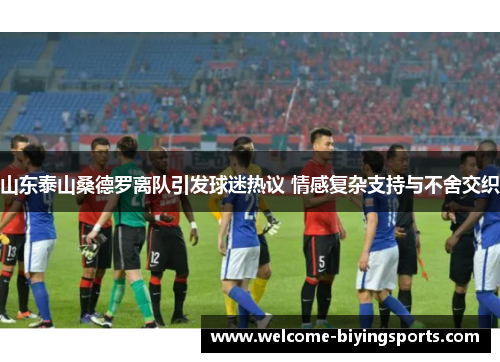 山东泰山桑德罗离队引发球迷热议 情感复杂支持与不舍交织