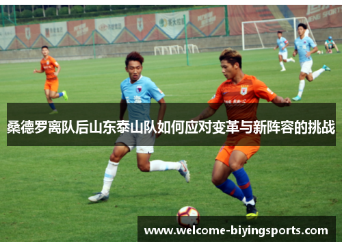 桑德罗离队后山东泰山队如何应对变革与新阵容的挑战