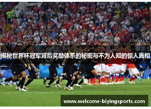 揭秘世界杯冠军背后奖励体系的秘密与不为人知的惊人真相