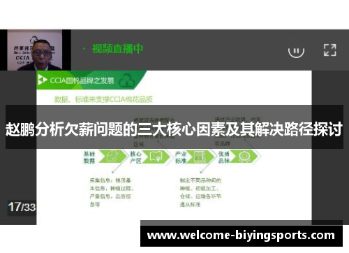 赵鹏分析欠薪问题的三大核心因素及其解决路径探讨