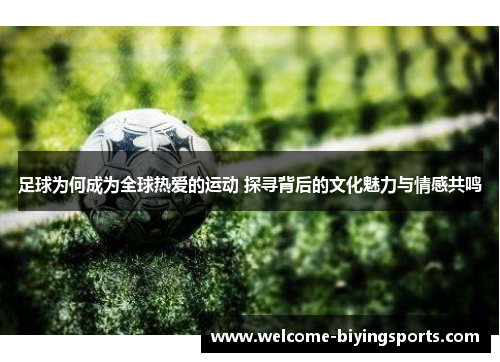 足球为何成为全球热爱的运动 探寻背后的文化魅力与情感共鸣