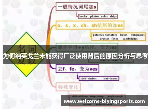 为何纳英戈兰未能获得广泛使用背后的原因分析与思考